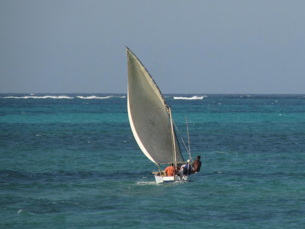 Cool Runnings 2*